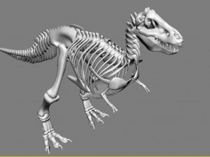 dinosaur a skeleton 3D मॉडल