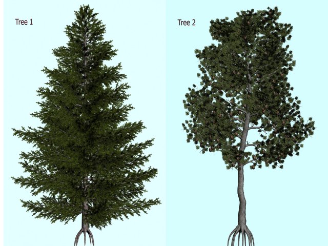 trees 3D Модель .c4d .max .obj .3ds .fbx .stl .blend 