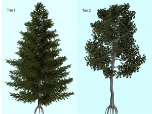 trees 3D मॉडल
