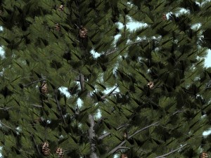 trees 3D Модель