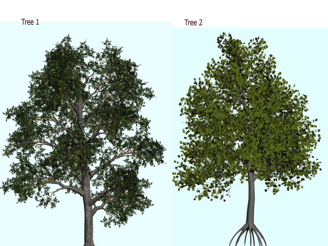 trees Modèle 3D .c4d .max .obj .3ds .fbx .stl .blend 