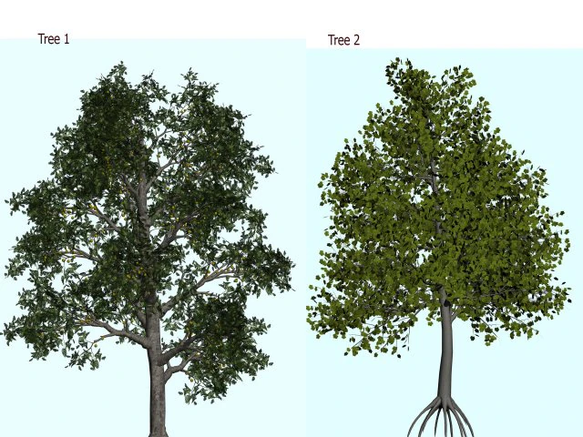 trees 3D Model .c4d .max .obj .3ds .fbx .stl .blend
