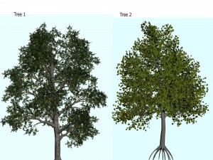 trees 3D Model