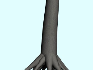 trees Modèle 3D