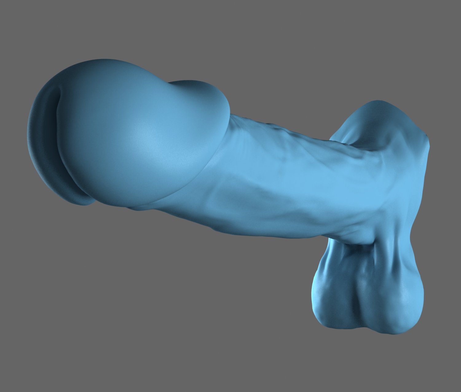 penis 3D Modeller in Anatomi 3DExport