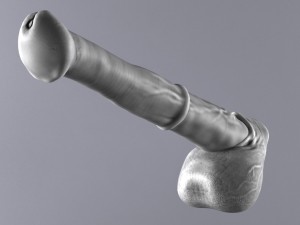 horse penis remaster Modèle 3D