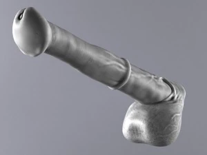 horse penis remaster 3D Model
