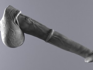 horse penis remaster Modèle 3D