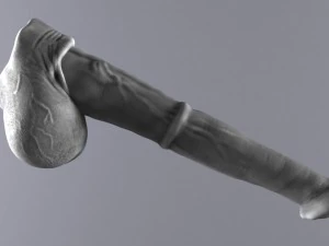horse penis remaster 3D Model