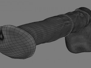 horse penis remaster Modèle 3D