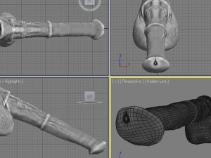 horse penis remaster Modèle 3D