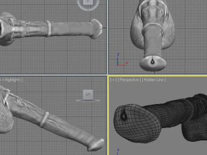 horse penis remaster 3D Model