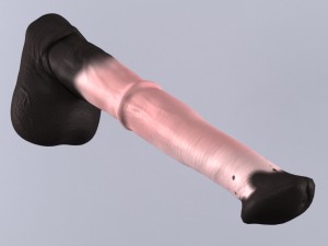 horse penis remaster 3D Model