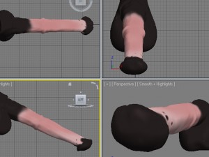 horse penis remaster Modèle 3D