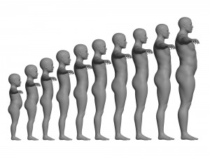 age of man growth 3D Model