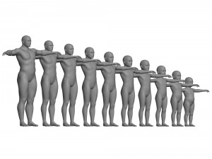 age of man growth 3D Model