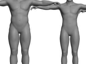 age of man growth 3D Model