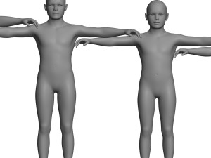 age of man growth 3D Model