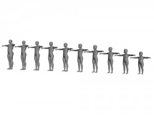 age of man growth 3D Model