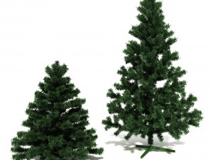 christmas trees 3Dモデル