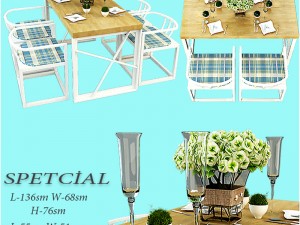 spetcial 3D Model