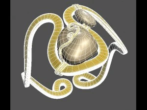 etno ring 3D Model