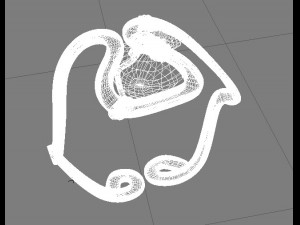 etno ring 3D Model