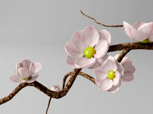 vase with branches and flowers 3D Model