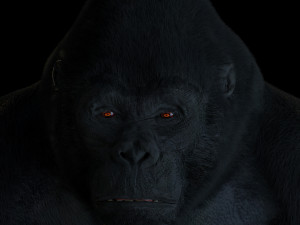 gorilla 3D Модель