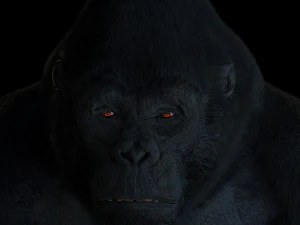 gorilla 3D Model