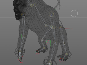 gorilla 3D Модель