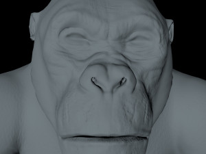 gorilla 3D Модель
