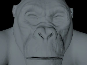 gorilla 3D Model