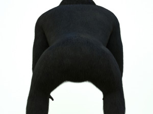 gorilla 3D Модель
