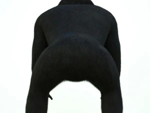 gorilla 3D Model