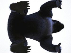 gorilla 3D Модель