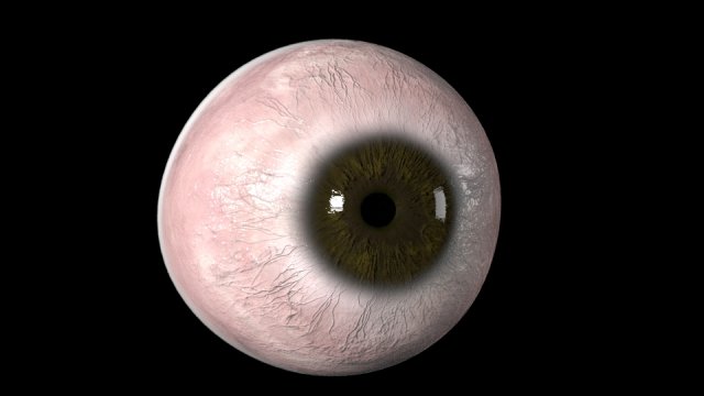 eyeball Modelo 3D .c4d .max .obj .3ds .fbx .stl .blend 