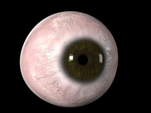 eyeball 3D-Modell