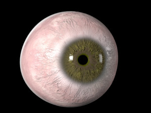 eyeball Modelo 3D