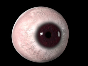 eyeball Modelo 3D