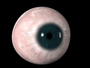 eyeball Modelo 3D