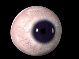 eyeball Modelo 3D