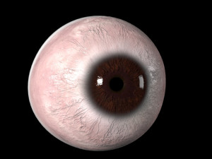 eyeball Modelo 3D