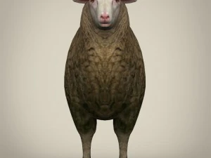low poly realistic sheep 3D Model