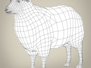 low poly realistic sheep 3D-Modell