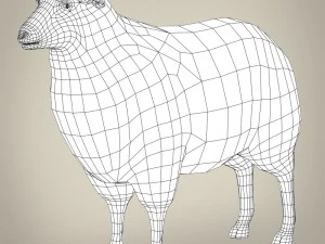 low poly realistic sheep 3D Model
