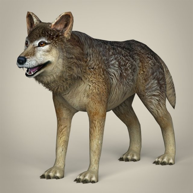 low poly realistic wolf 3D Model .c4d .max .obj .3ds .fbx .stl .blend 