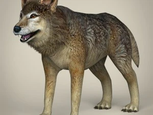 低聚现实狼 3D 模型