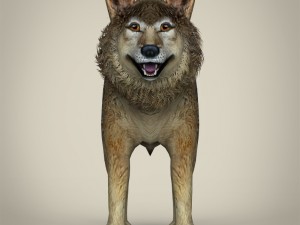 low poly realistic wolf 3D Model