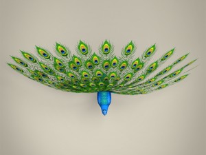 low poly realistic peacock Modello 3D